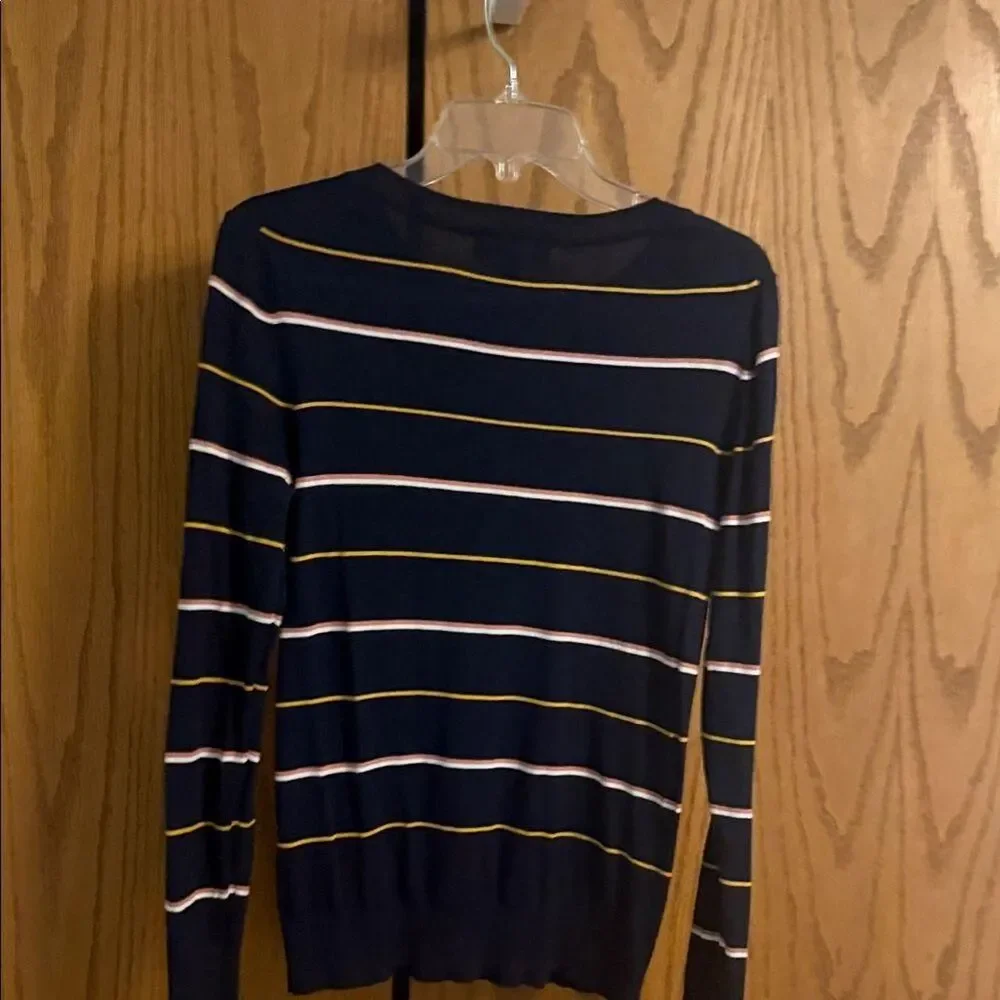 Banana Republic Navy Sweater with Pink and Gold Stripes